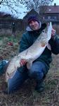 Grote snoek